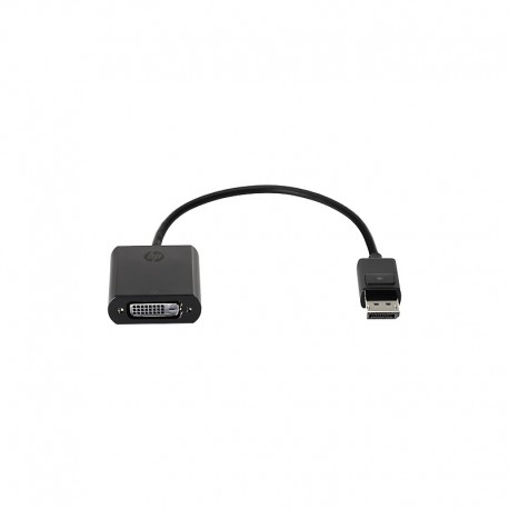 ADAPTATEUR HP DISPLAYPORT A DVI-D